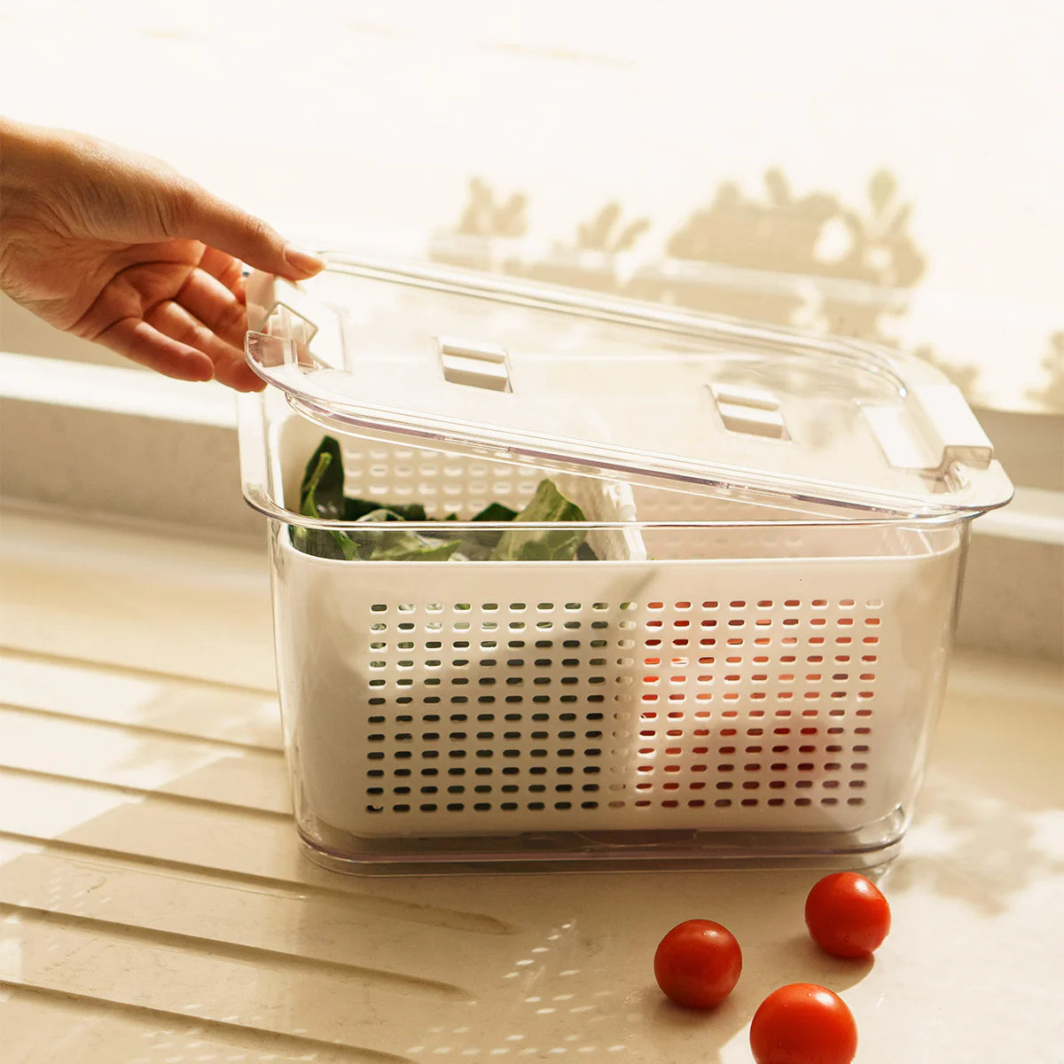 Pack Organizador de Refrigerador M + L
