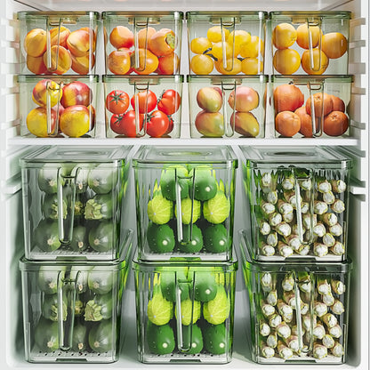 Pack de 3 Organizadores Transparentes con Mango y Tapa
