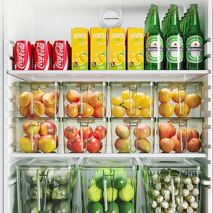 Pack de 3 Organizadores Transparentes con Mango y Tapa