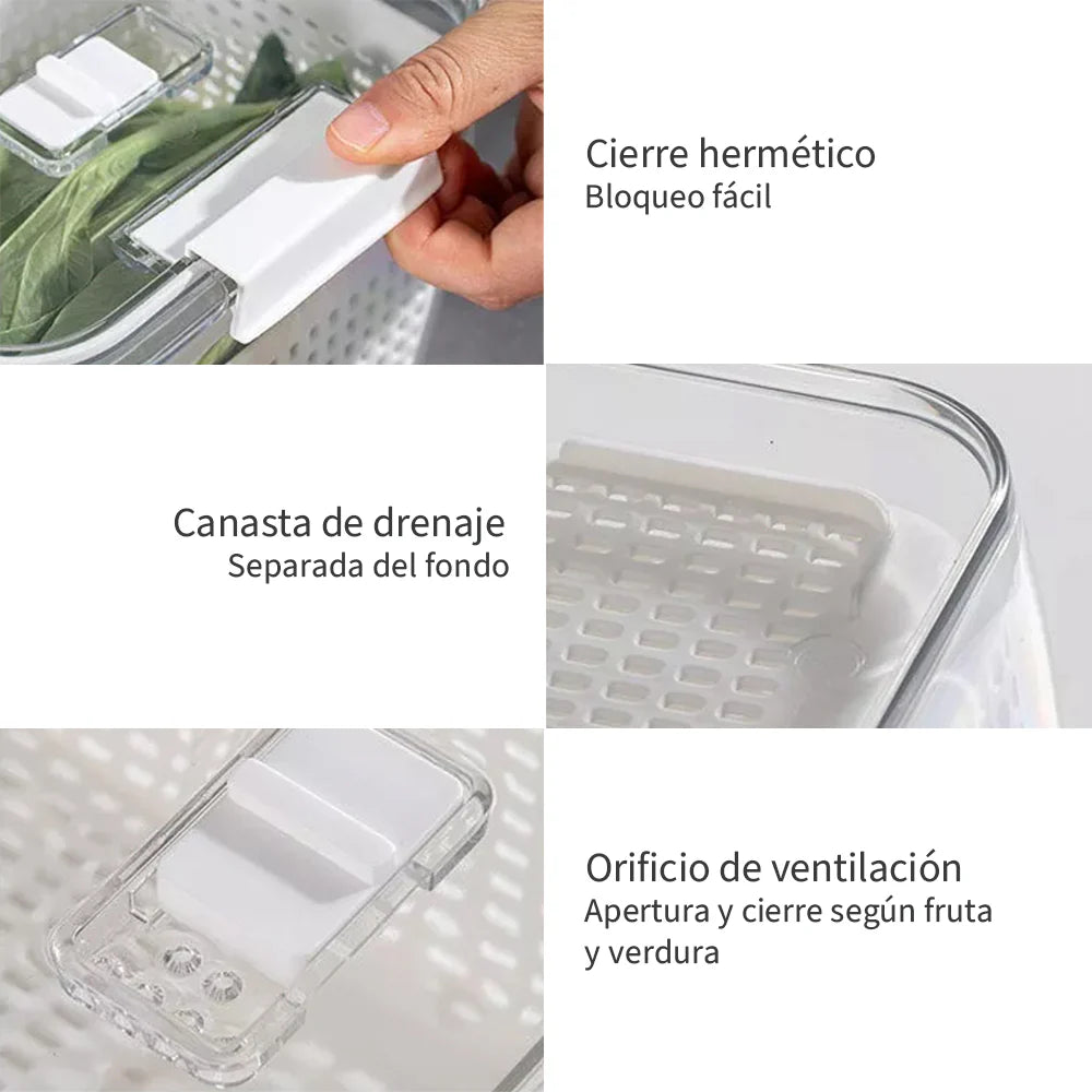 Pack Organizador de Refrigerador M + L